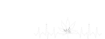 rjexpressbig copy